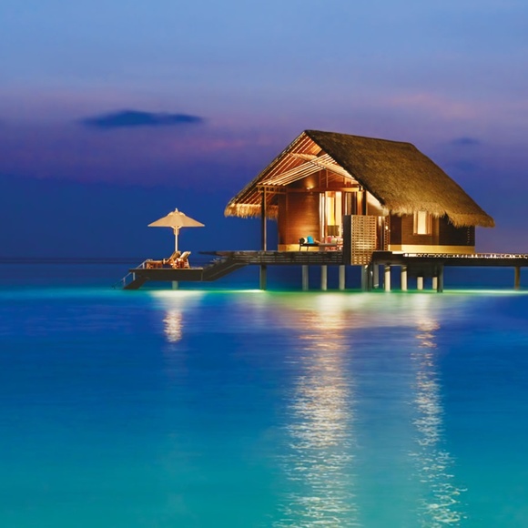 Meet your Posher, Roseanne - Picture 1 of 1